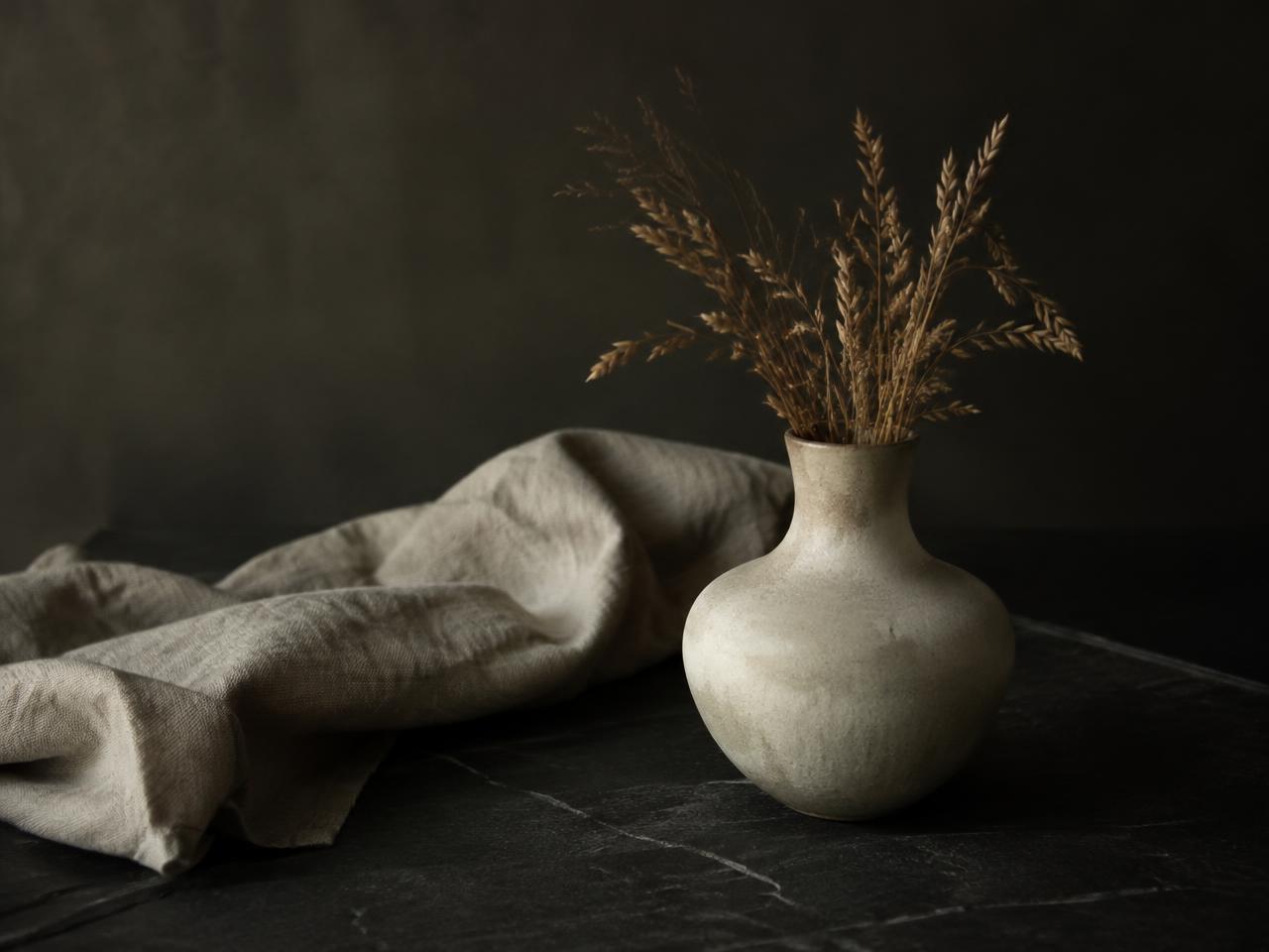 Form & Field — Contemporary lifestyle brand concept